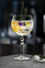 RCR Gin Tonic-Glas ALKEMIST, 6er Set