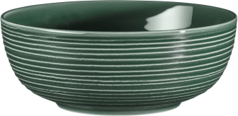 Seltmann Weiden Terra Foodbowl 20 cm, moosgrün